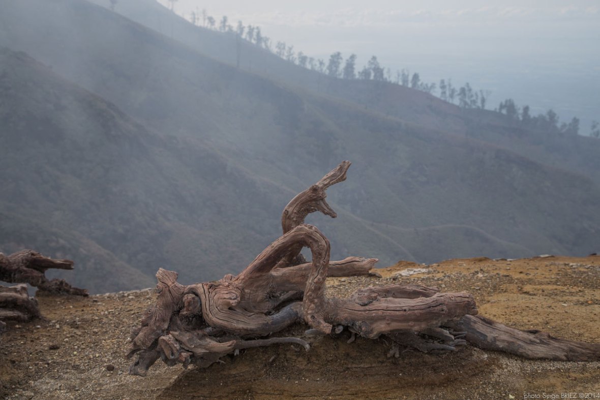 Sulfur picker in Java photographed by Serge Briez, photo Report ©Serge Briez, Cap médiations 2014