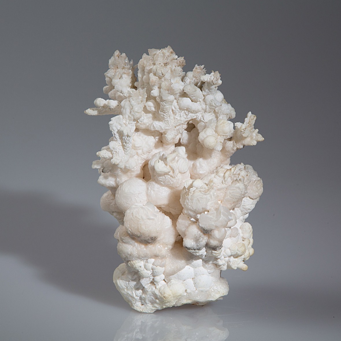 Aragonite coralloid photographed by Serge Briez for Imagin'all (http://www.cristaux-sante.com)