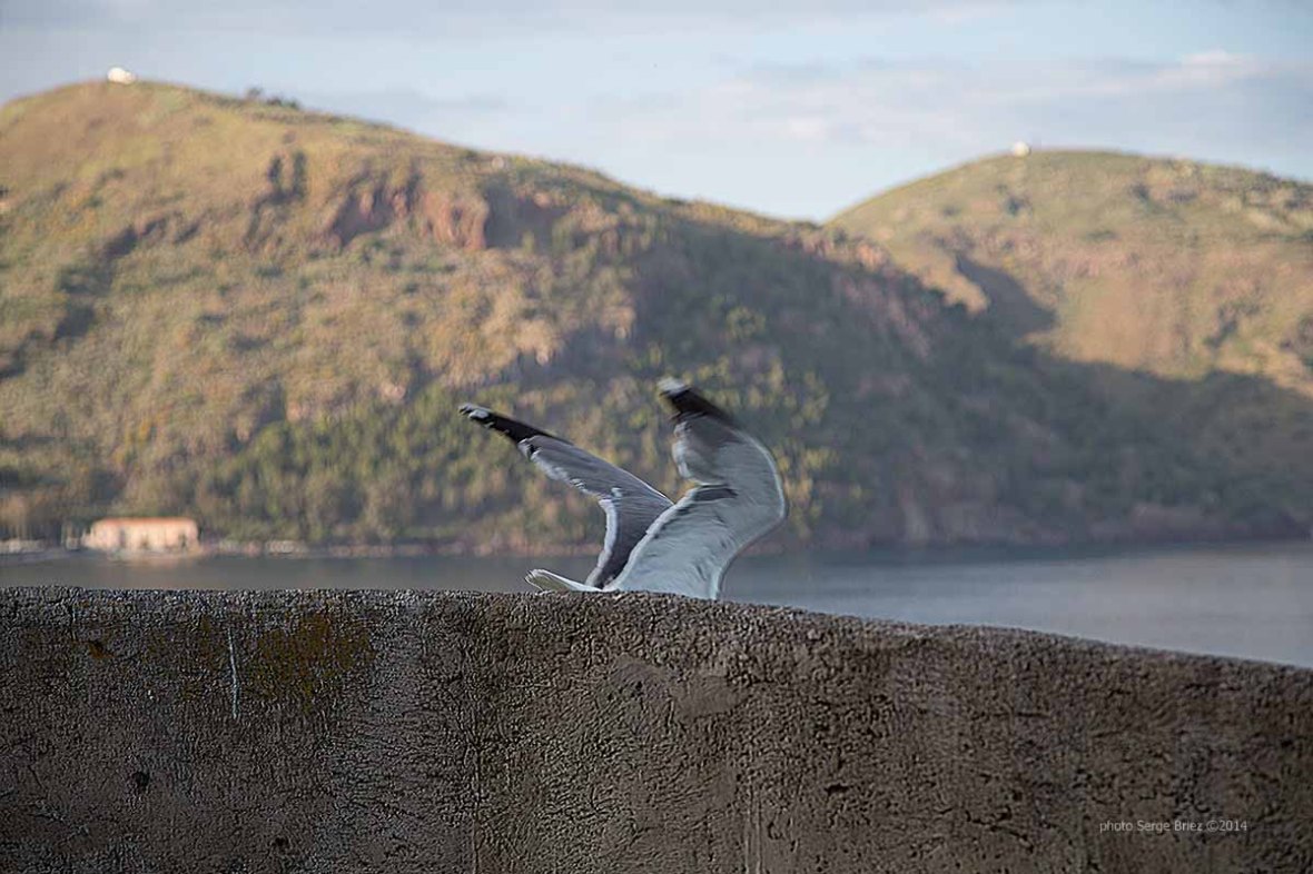View of the gardens behind the Basilica San Bartolomeo, Lipari Island photographed by Serge Briez ©2014 Cap médiations, Thera Explorer