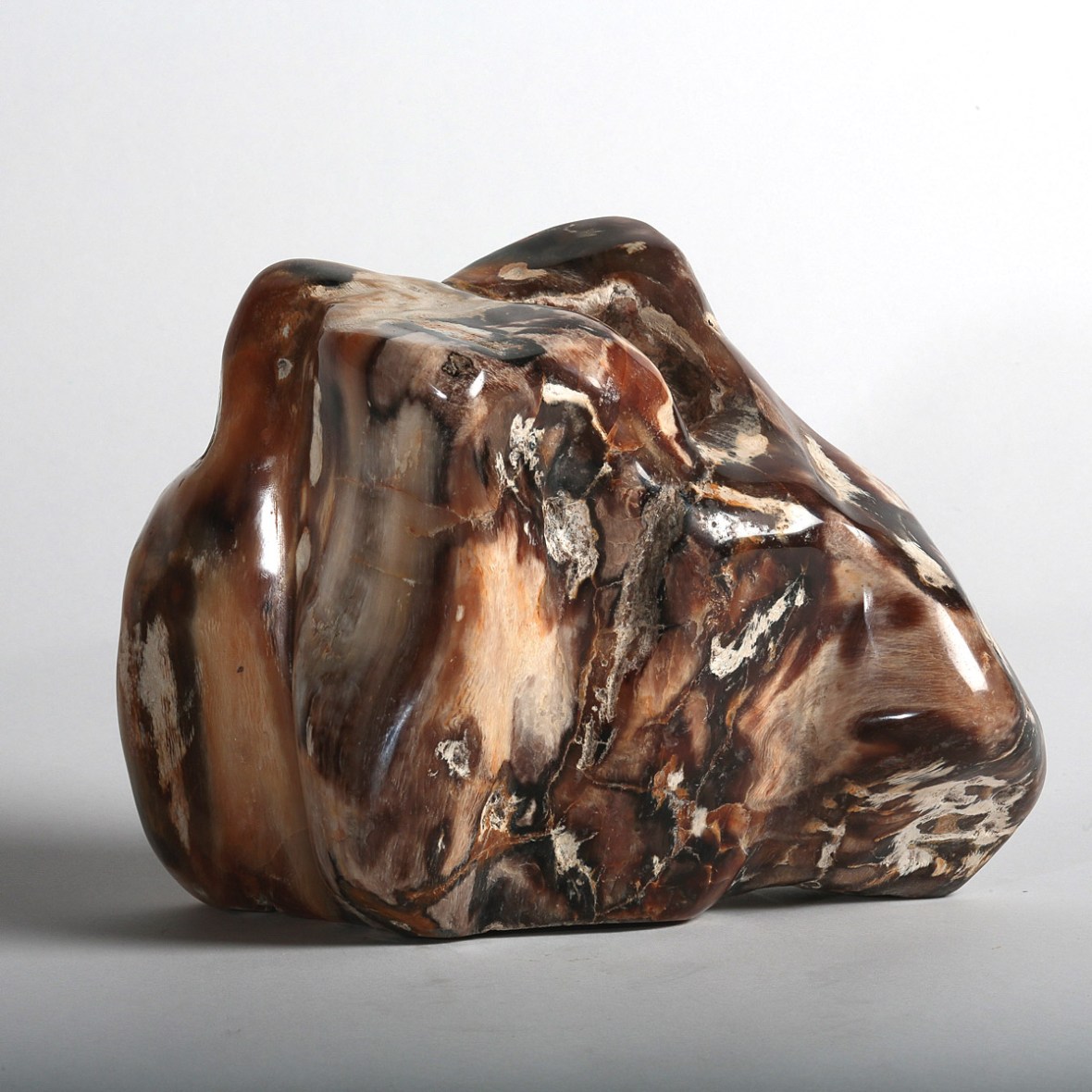 Fossil wood photographed by Serge Briez for Imagin'all (http://www.cristaux-sante.com)