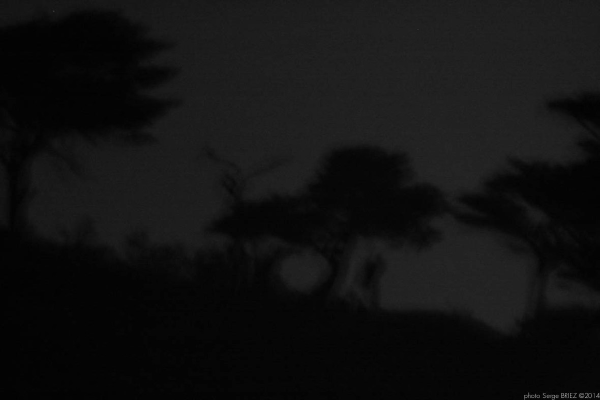 Bay of Salvador Dalí in the moonlight, port Lligat, Spain photographed by Serge Briez, ©2014 Cap médiations