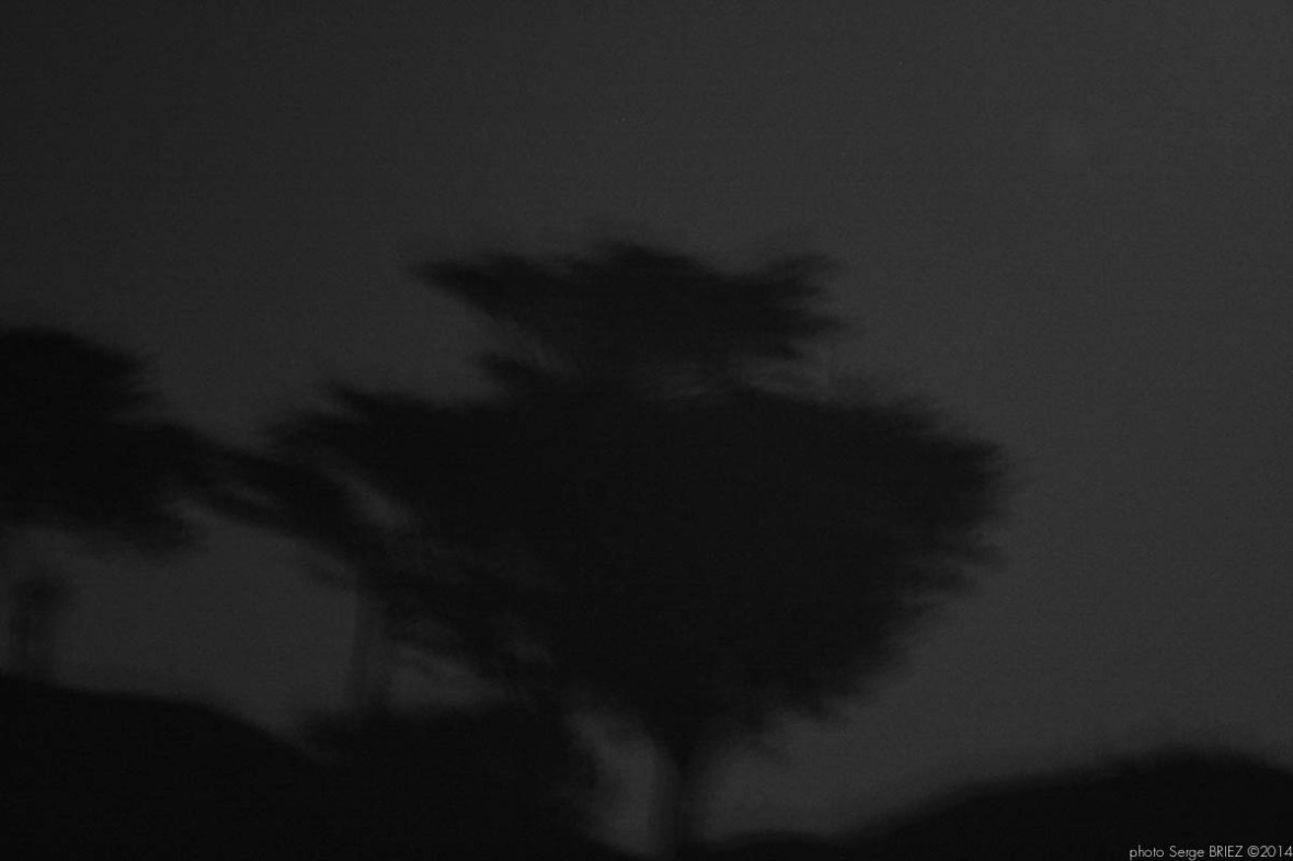 Bay of Salvador Dalí in the moonlight, port Lligat, Spain photographed by Serge Briez, ©2014 Cap médiations