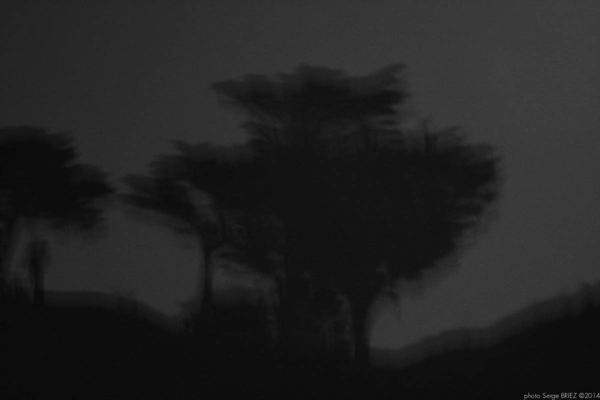 Bay of Salvador Dalí in the moonlight, port Lligat, Spain photographed by Serge Briez, ©2014 Cap médiations