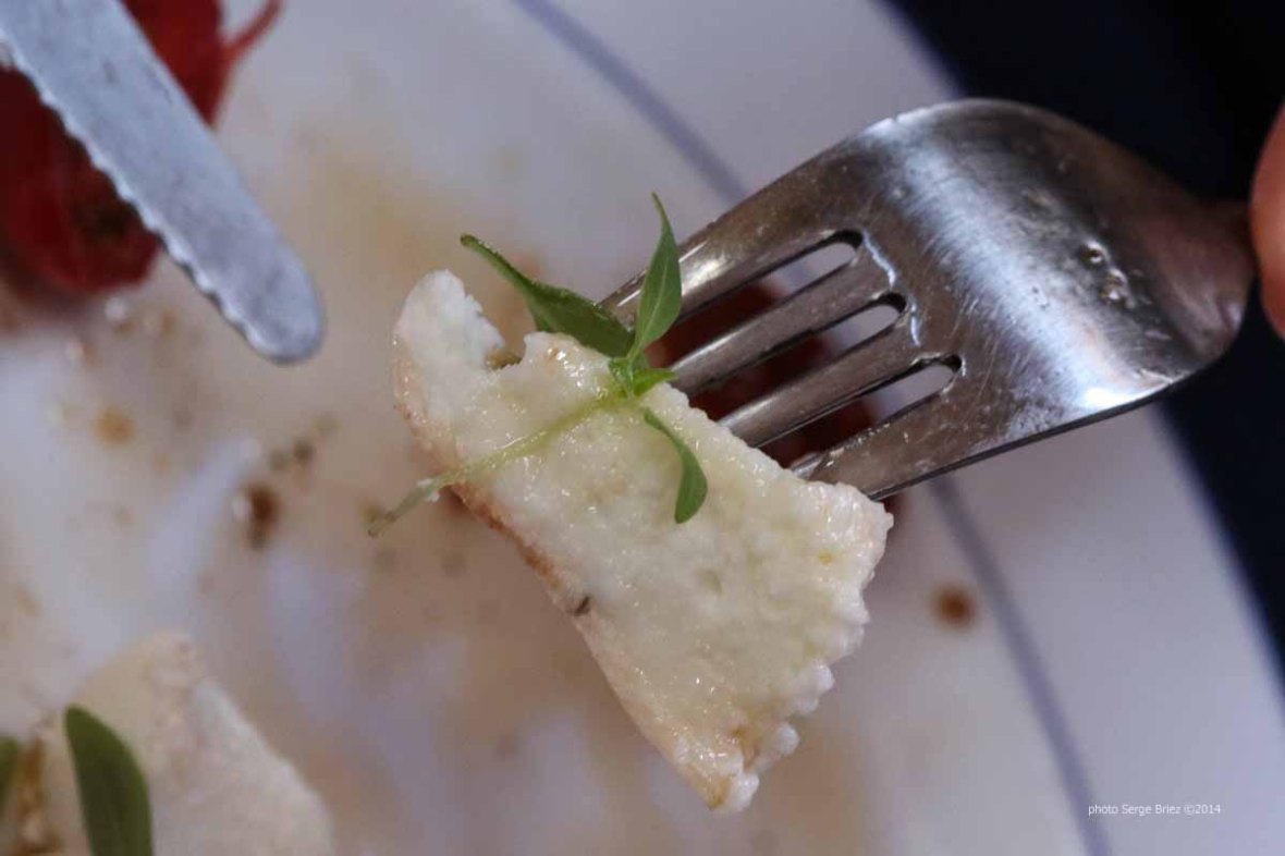 Buffala mozzarella, and fresh basil, tasted and Bonifacio with the products of Syracuse photographed by Serge Briez ©2014 Cap médiations, Thera Explorer