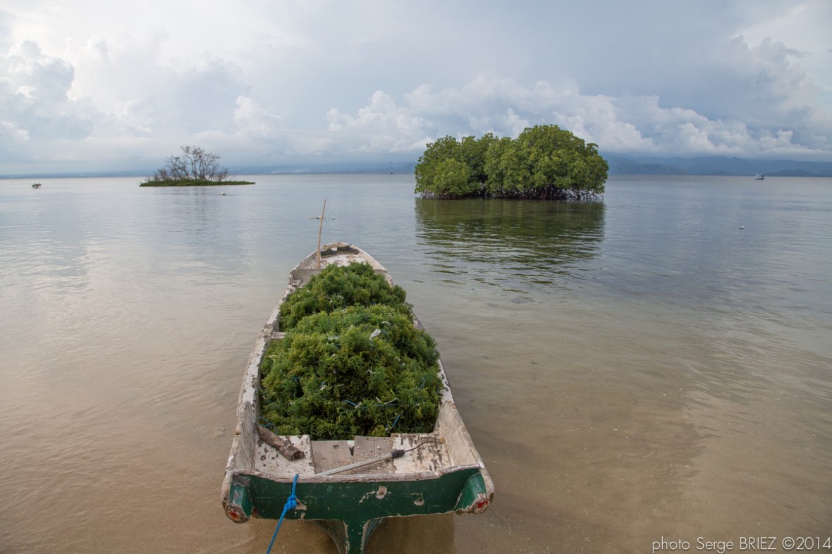 Bali crops photographed by Serge Briez