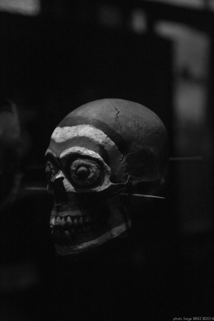 skull, Primitive art,in museum quai Branly photographed by Serge Briez, ©2014 Cap médiations
