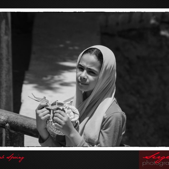 Egypt , intimate Arab Spring by Serge Briez, Cap médiations 2011