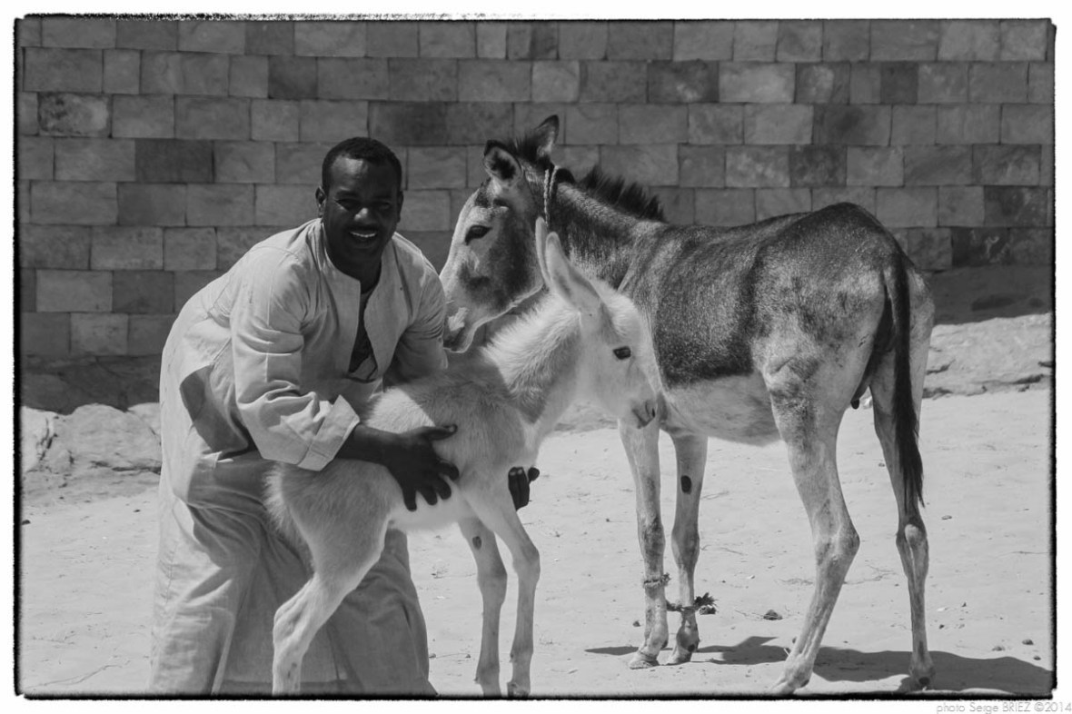 Egypt 2011, Arab Spring Portraits by Serge Briez, ©Serge Briez, Cap médiations 2011