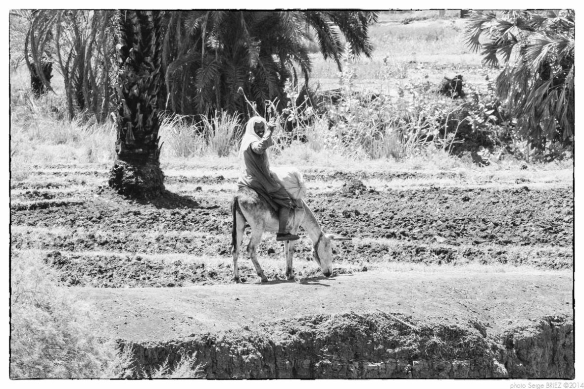 Egypt 2011, Arab Spring Portraits by Serge Briez, ©Serge Briez, Cap médiations 2011