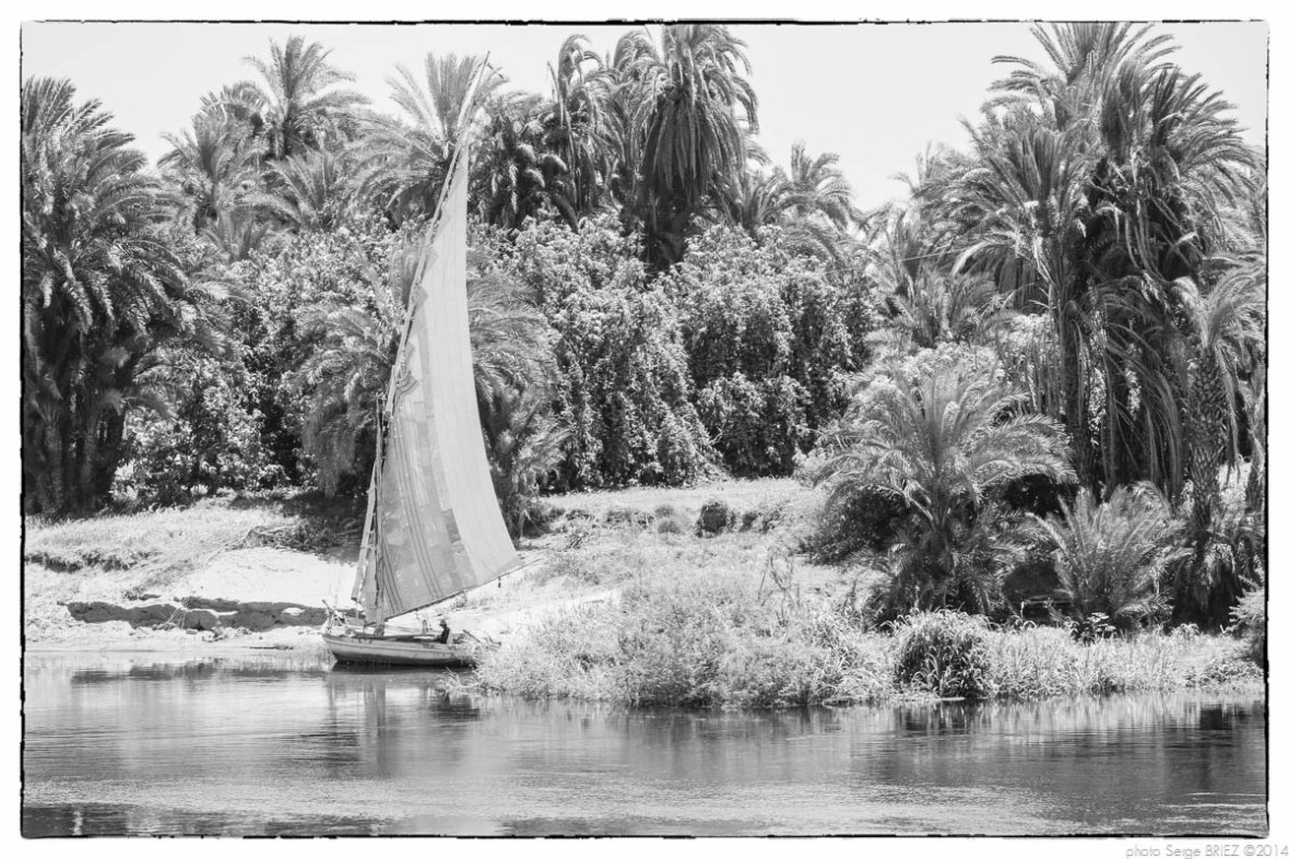 Egypt 2011, Arab Spring Portraits by Serge Briez, ©Serge Briez, Cap médiations 2011