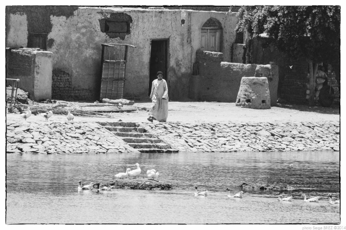 Egypt 2011, Arab Spring Portraits by Serge Briez, ©Serge Briez, Cap médiations 2011