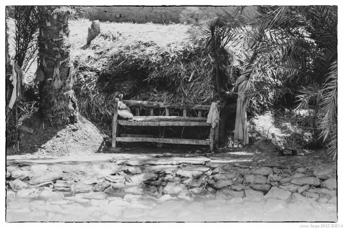 Egypt 2011, Arab Spring Portraits by Serge Briez, ©Serge Briez, Cap médiations 2011