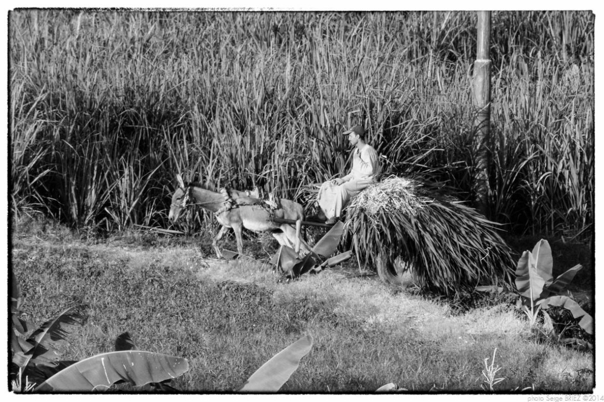 Egypt 2011, Arab Spring Portraits by Serge Briez, ©Serge Briez, Cap médiations 2011