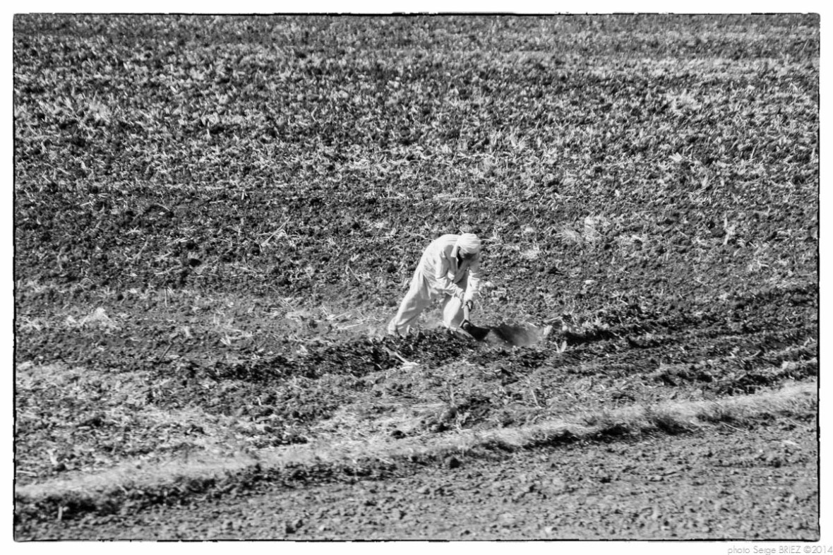 Egypt 2011, Arab Spring Portraits by Serge Briez, ©Serge Briez, Cap médiations 2011