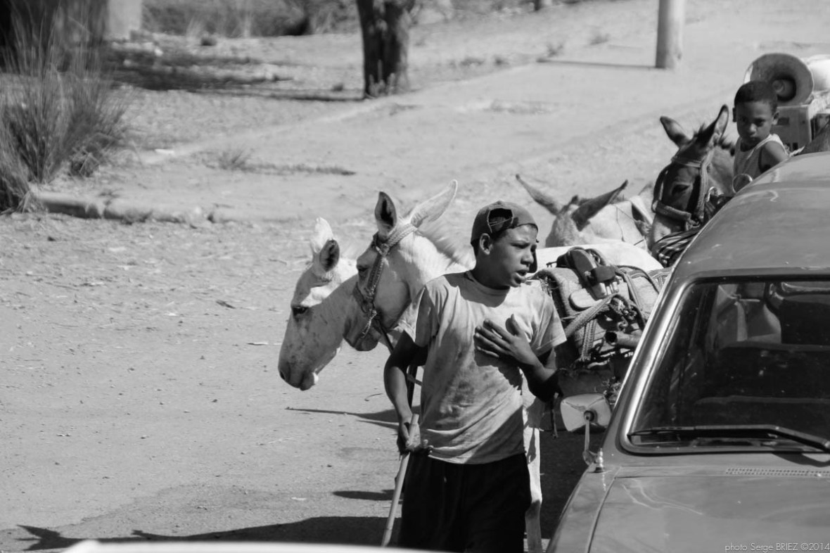 Egypt 2011, Arab Spring Portraits by Serge Briez, ©Serge Briez, Cap médiations 2011