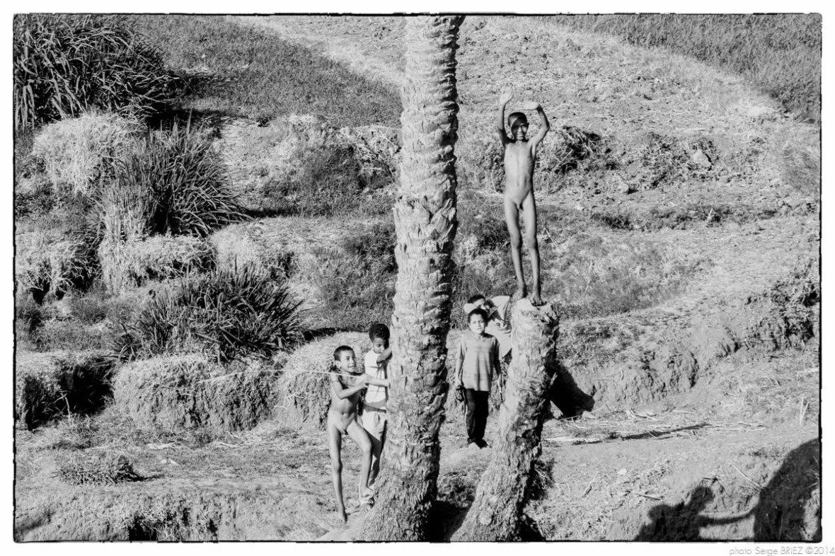 Egypt 2011, Arab Spring Portraits by Serge Briez, ©Serge Briez, Cap médiations 2011