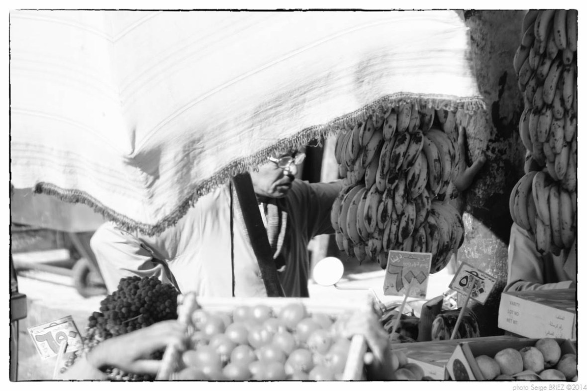 Egypt 2011, Arab Spring Portraits by Serge Briez, ©Serge Briez, Cap médiations 2011