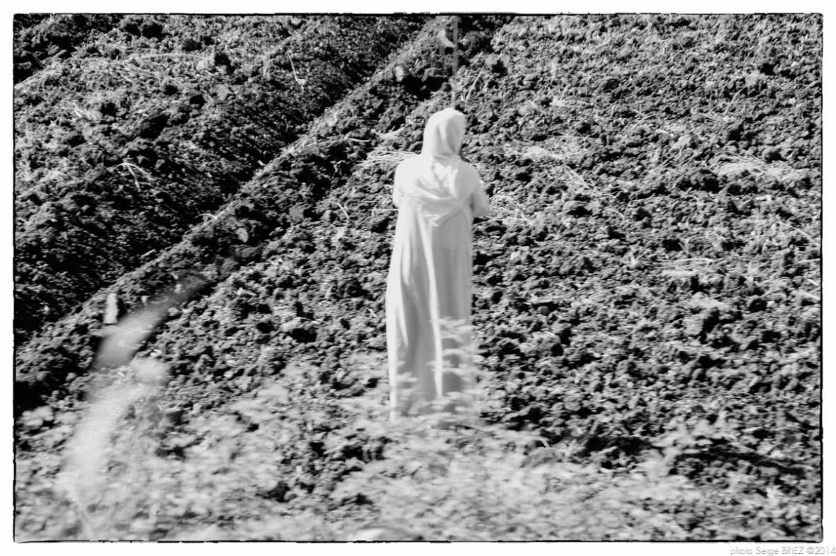 Egypt 2011, Arab Spring Portraits by Serge Briez, ©Serge Briez, Cap médiations 2011