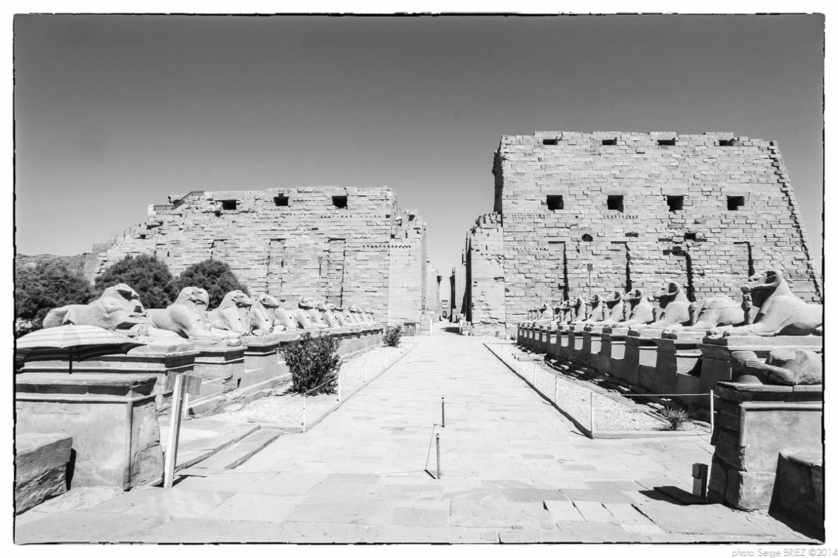 Egypt 2011, Arab Spring Portraits by Serge Briez, ©Serge Briez, Cap médiations 2011