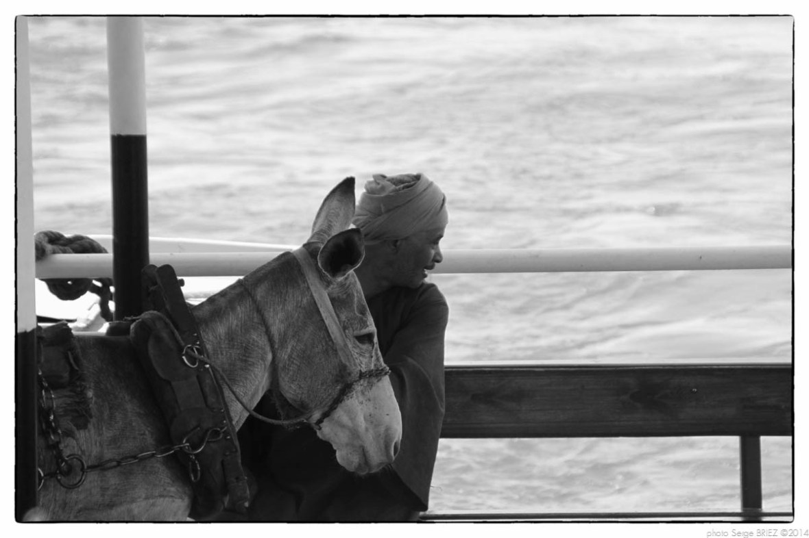 Egypt 2011, Arab Spring Portraits by Serge Briez, ©Serge Briez, Cap médiations 2011