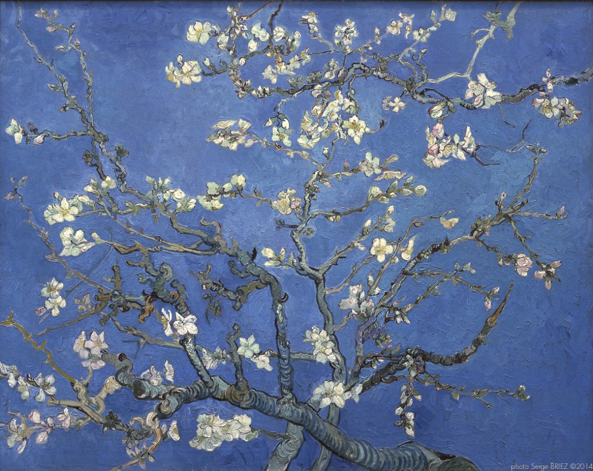 Almond Blossom Auvers sur Oise, Branches d’amandier en fleurs, Auvers-sur-Oise, février 1890, Van gogh’s painting photographed by Serge Briez, ©2014 Cap médiations