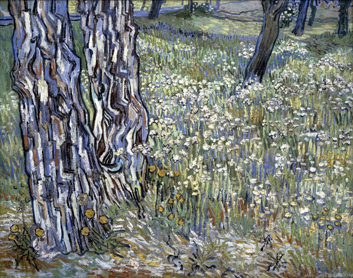Pine Trees and Dandelions in the Garden of Saint-Paul Hospital, pins et pissenlits dans le par de l'hospital Saint paul, 1890 , Van gogh’s painting photographed by Serge Briez, ©2014 Cap médiations