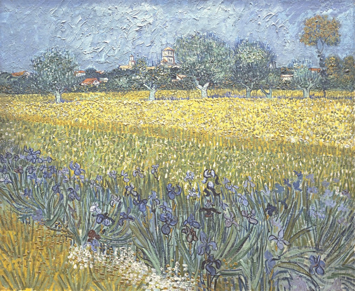 Vue d'Arles avec Iris , View of Arles with Irises, Van gogh’s painting photographed by Serge Briez, ©2014 Serge Briez, Cap médiations