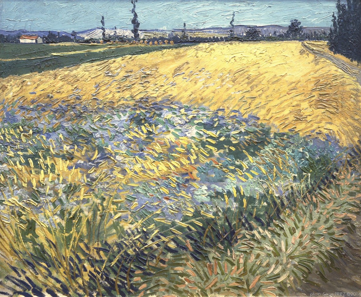 Wheat Field with the Alpilles Foothills in the Background, Champs de blé avec les Alpilles en arrière plan, Juin 1888, Van gogh’s painting photographed by Serge Briez, ©2014 Cap médiations