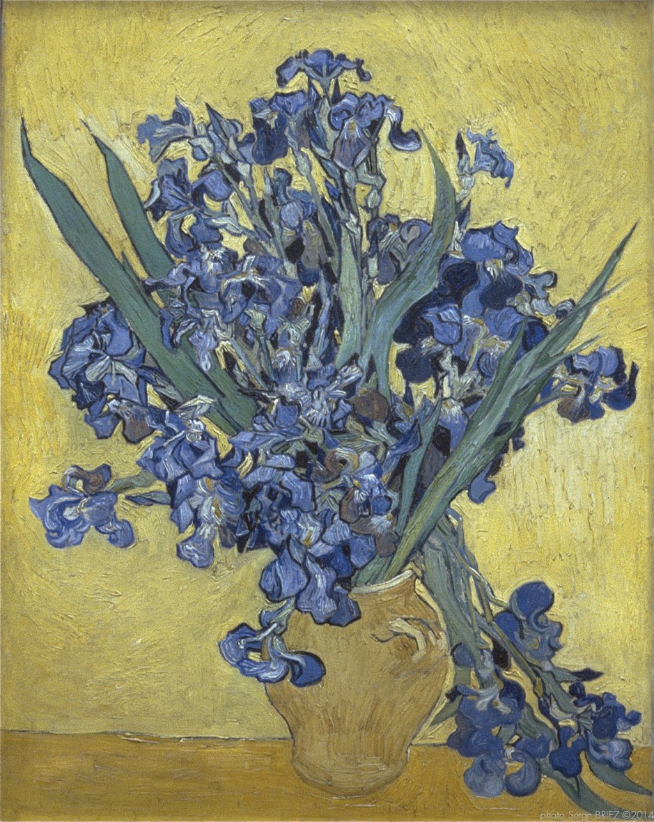 Still Life with Irises Saint-Remy, Nature morte aux iris, Saint-Rémy, mai 1890, Van gogh’s painting photographed by Serge Briez, ©2014 Cap médiations