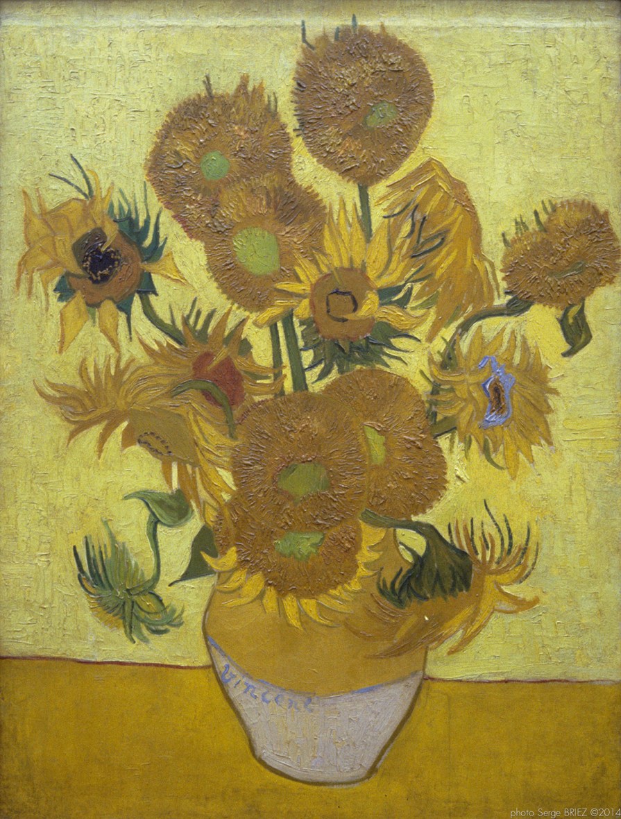 Sunflowers, Les Tournesols (Arles - 1888, juin), Van gogh’s painting photographed by Serge Briez, ©2014 Cap médiations