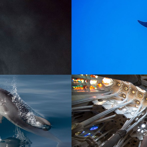 Best wishes 2016, meilleurs voeux 2016