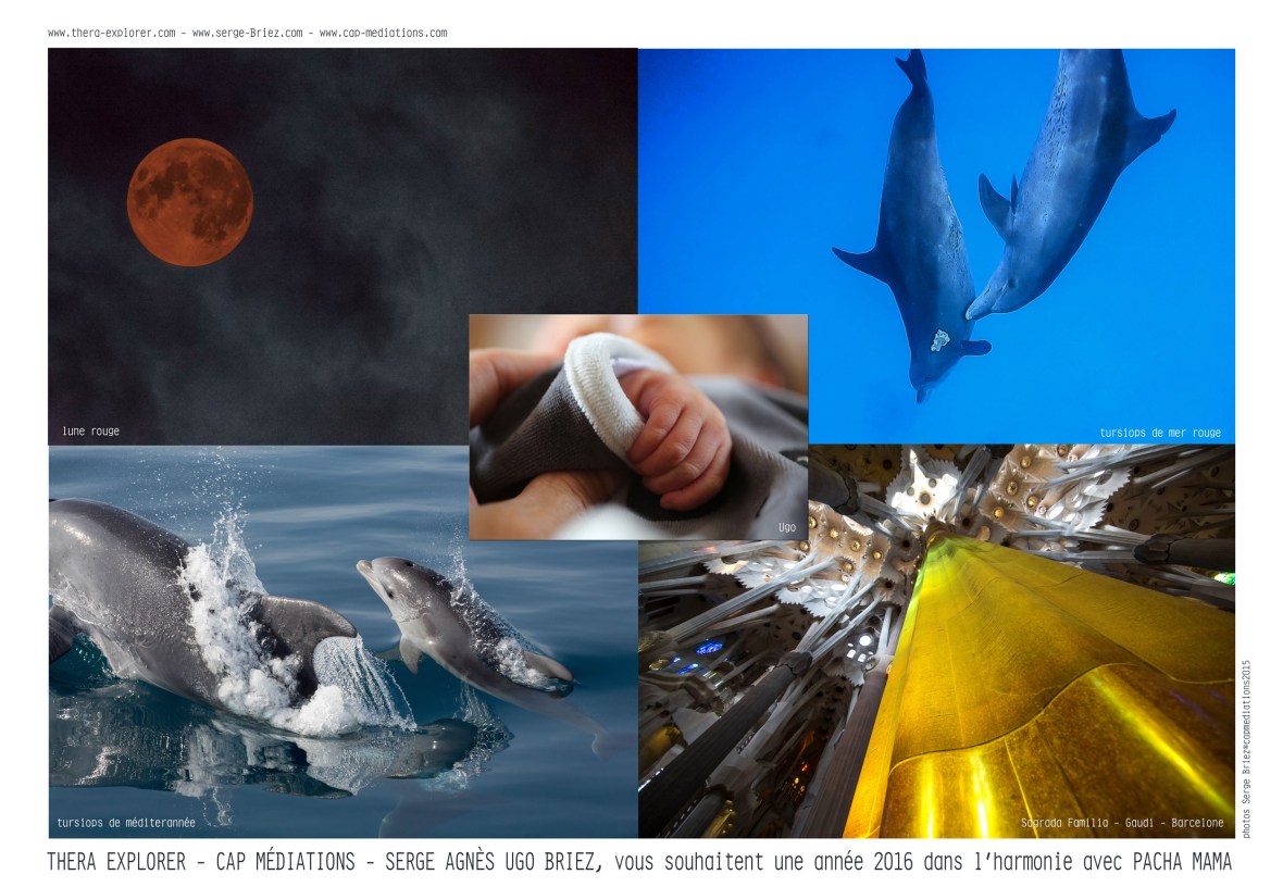 Best wishes 2016, meilleurs voeux 2016